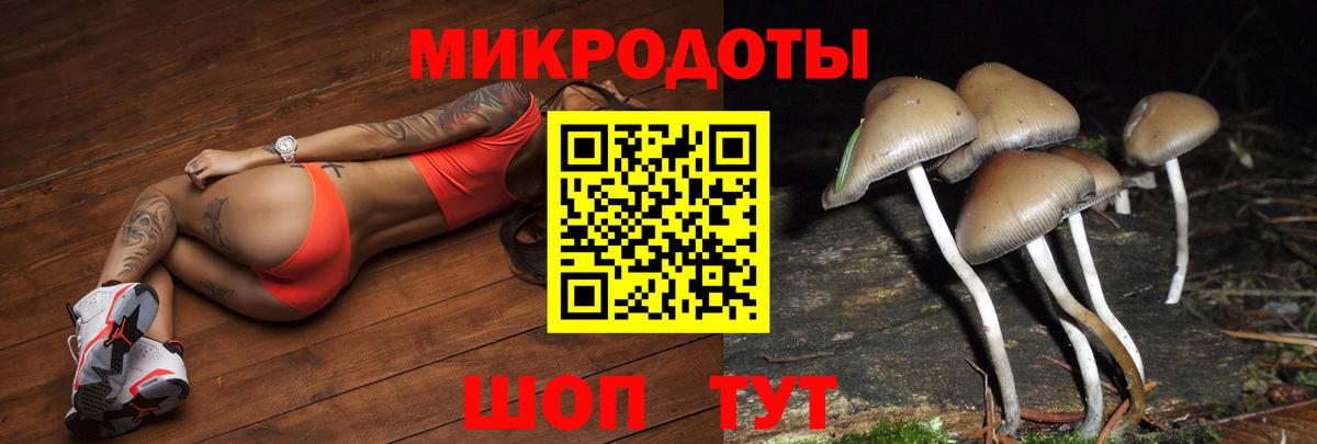 Южно-Сахалинск  как найти закладки  Псилоцибиновые грибы мухоморы  Вход с VPN  Псилоцибиновые грибы Psilocybe 